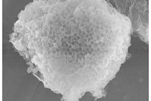 蜂巢状石墨相氮化碳/石墨烯复合材料及其制备方法