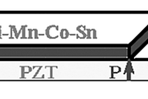 Ni-Mn基铁磁形状记忆合金/压电体复合材料及磁电效应应用