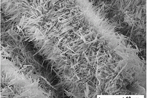 超疏水碳织物@镍钴双氢氧化物复合材料的制备方法及其用途
