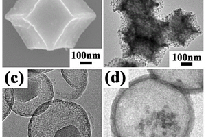 蛋壳-蛋黄结构的四氧化三钴-氮掺杂碳/碳纳米笼复合材料及其制备方法和应用