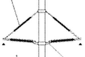 中心竖直接地引下线的复合材料杆塔