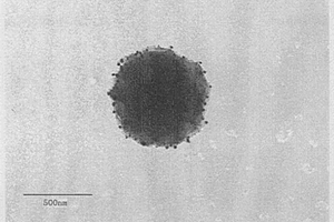 银纳米颗粒与聚合物微球载体的复合材料及其制备方法