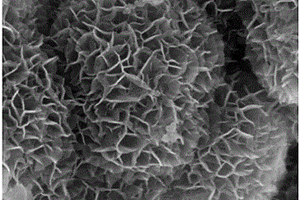 三维结构金属氧化物/石墨相碳化氮复合材料及其制备