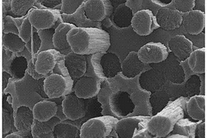 三维碳纤维预制件增强硅酸钇复合材料及其制备方法