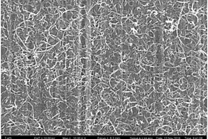 碳纳米管铜基层状复合材料的制备方法