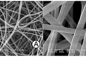 碳纤维增强的聚醚醚酮纤维复合材料及其制备方法和应用