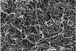 谷氨酸修饰的碳纳米管复合材料及其制备方法和应用