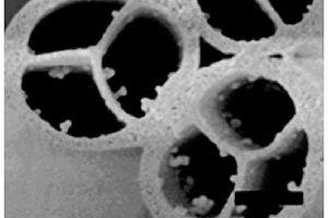 纳米碳纤维复合材料及其制备方法与应用