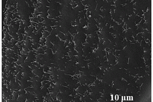 均匀分散的碳纳米管/沥青复合材料制备方法