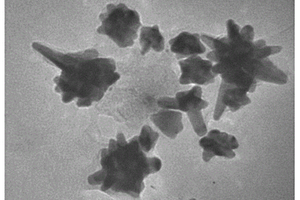 万古霉素修饰的二硫化钼/金纳米针复合材料及其制备方法