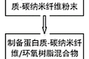 蛋白质-碳纳米纤维/环氧树脂复合材料及其制备方法