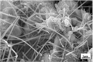 原位合成碳纳米管/硼化铪纳米复合材料及其制备方法