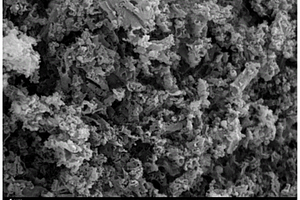 铁钴合金纳米晶/掺氮碳管复合材料及其制法与应用