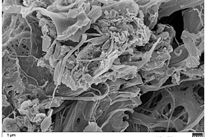 二硒化钒/碳纤维素复合材料及其制备方法和应用