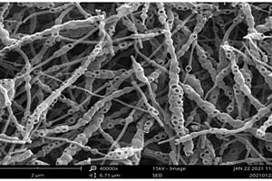 三维多孔亲锂复合材料的制备方法及应用