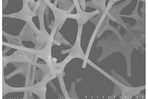 锰掺杂纳米纤铁矿/碳泡沫复合材料、制备方法及应用