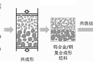 共成形共烧结钨合金/钢复合材料的粉末冶金制备方法