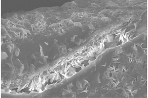 纳米羟基氧化铁凝胶复合材料及其制备方法与应用
