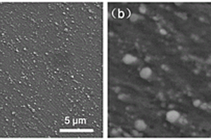 纳米碳化硅颗粒增强铝基复合材料及其制备方法