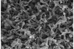 聚3,4-乙撑二氧噻吩纳米纤维/金纳米粒子复合材料及其制备方法和应用