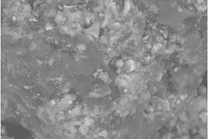 表面有机化蒙脱石/纳米二氧化锰复合材料的制备和应用