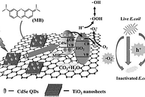 硒化镉量子点/石墨烯/二氧化钛复合材料及其制备方法