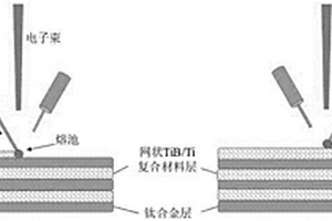 仿生贝壳结构钛基复合材料的快速成形方法