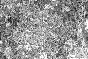 石墨烯/羟基磷灰石纳米复合材料及其制备方法