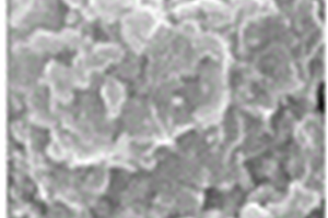 硫铟镉/PDDA/NiFe-LDH光催化复合材料及其制备方法和应用