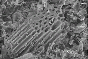 生物炭复合材料及其制备方法