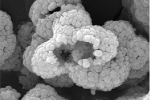 空心分等级结构的Fe<sub>2</sub>O<sub>3</sub>及Fe<sub>2</sub>O<sub>3</sub>/CNT复合材料的制备方法