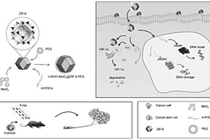 miR181a-二氧化锰纳米复合材料及其制备方法和应用
