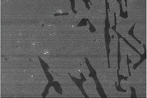 纳米TiN颗粒增强铝基复合材料的制备方法