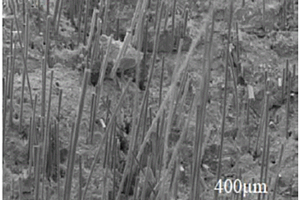 短切碳化硅纤维增强铝硅酸盐聚合物复合材料的制备方法