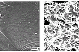 二维MXene纳米片乙烯基树脂复合材料及其制备方法