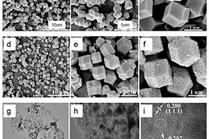 氮掺杂石墨碳碲化钴/碳气凝胶复合材料的制备方法及应用