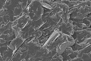 聚芳醚酮基氨基取代金属酞菁-纳米石墨复合材料及其制备方法
