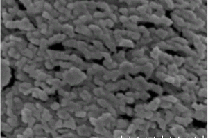 纳米氢氧氧铋/聚乙烯阻燃复合材料的制备方法