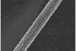 负载路易斯酸的短切碳纤维增强聚烯烃复合材料及其制备方法