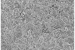 竹灰-粉煤灰/氯氧镁复合材料及其制备方法