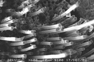 碳纤维增强碳化硅复合材料的制备方法