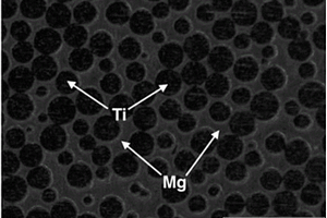 双连通网状结构钛-镁双金属复合材料的制备方法