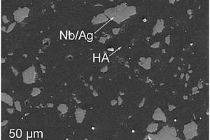 生物陶瓷基金属复合材料及其制备方法和用途