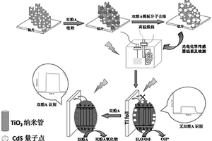 分子印迹修饰TiO<Sub>2</Sub>纳米管-CdS量子点复合材料、光电化学传感器及制备方法及应用