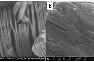 苯硼酸功能化Ti<Sub>3</Sub>C<Sub>2</Sub>T<Sub>x</Sub>磁性复合材料及其制备方法和应用