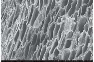 仿生多孔聚乳酸复合材料及其制备方法与应用