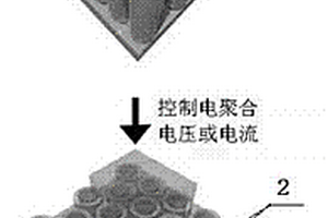 TiO2纳米管阵列管内外空间填充聚乙撑二氧噻吩的复合材料及其制备方法和应用