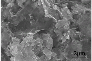 石墨烯和二硫化钼复合材料用作电磁波吸收材料的应用