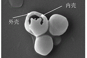 微纳米颗粒增强碳纤维复合材料及其制备方法