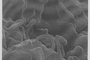 原位生长制备碳纳米管与羟基磷灰石纳米复合材料的方法